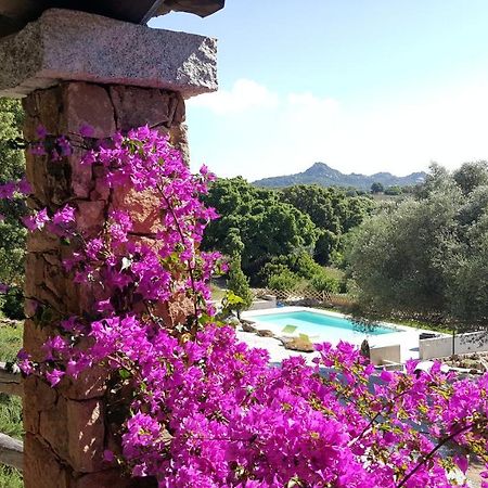 Agriturismo Desole Monti Esterno foto