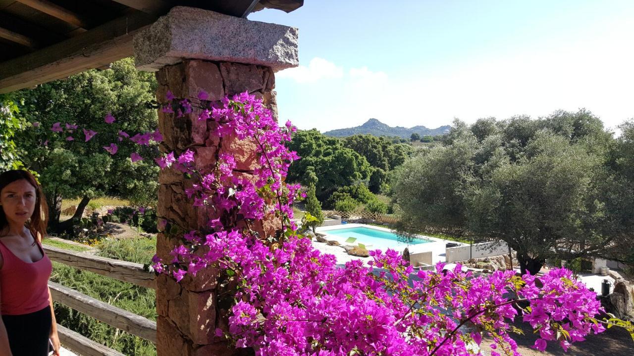 Agriturismo Desole Monti Esterno foto