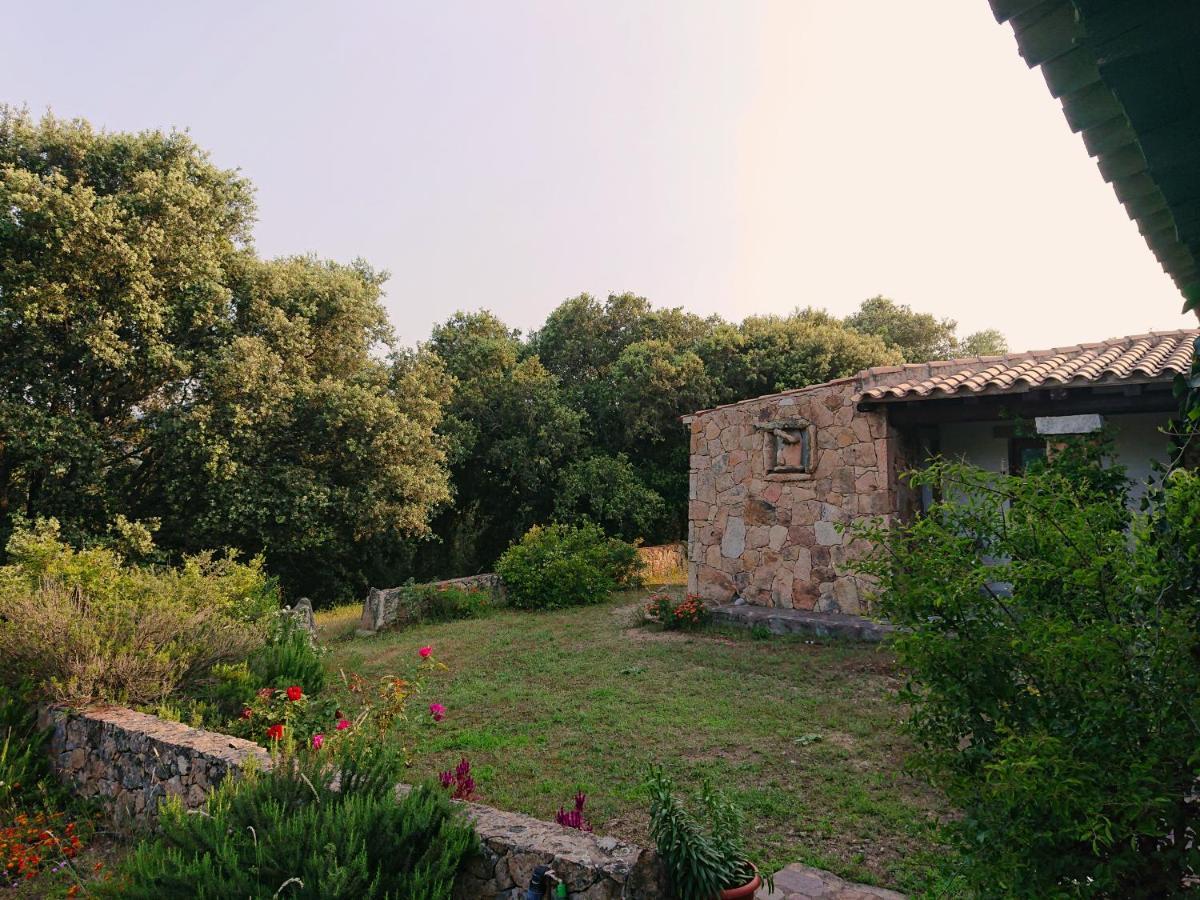 Agriturismo Desole Monti Esterno foto
