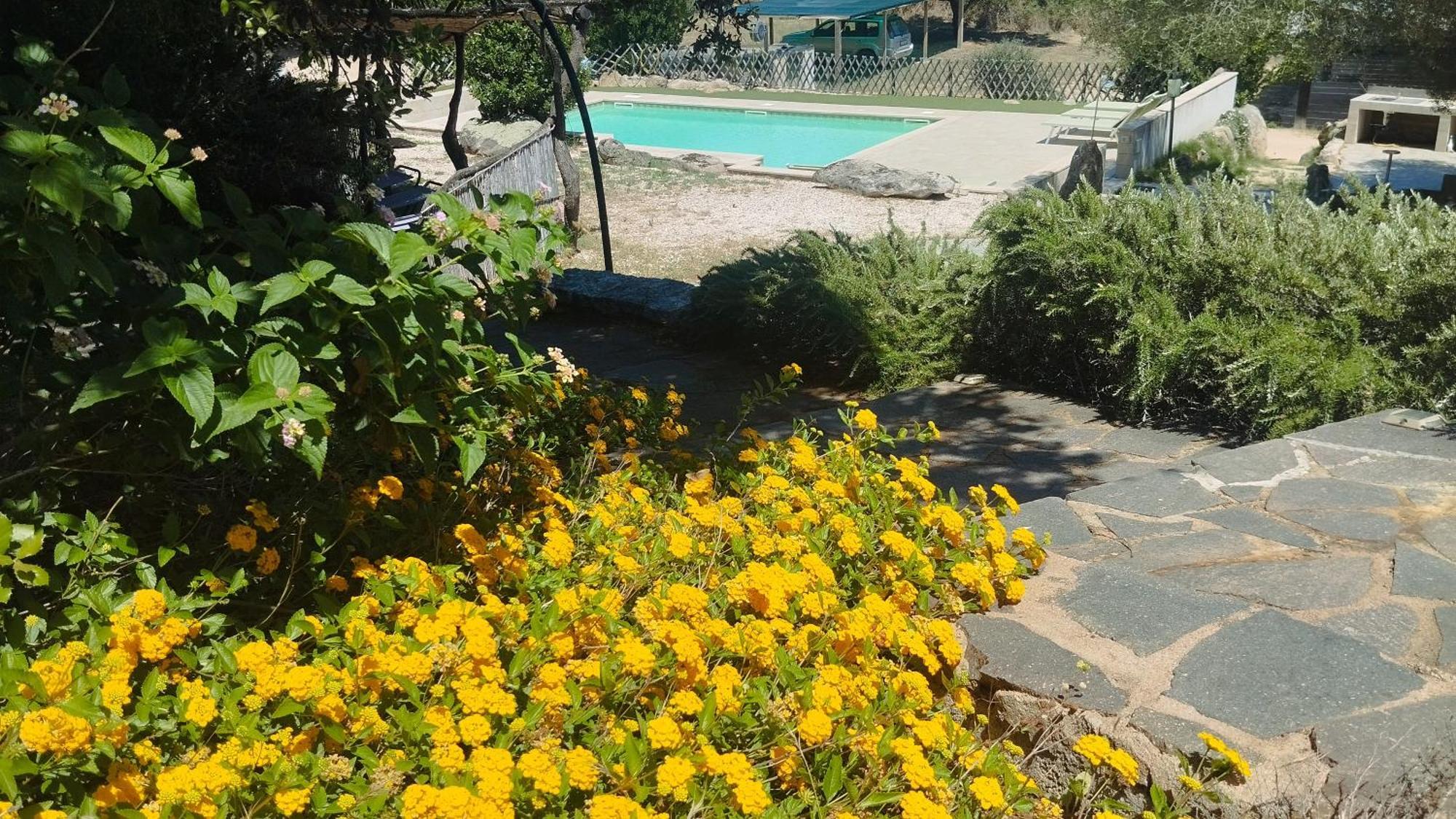 Agriturismo Desole Monti Esterno foto
